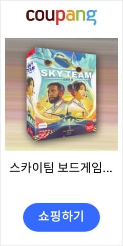 스카이팀